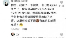娱乐吃瓜酱博主,吃瓜酱博主带你探秘明星生活